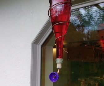 Easy Wine Bottle Hummingbird Feeder