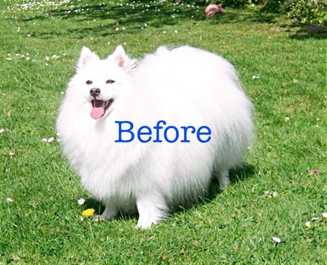 How To Make An Awesome, Custom Photo!