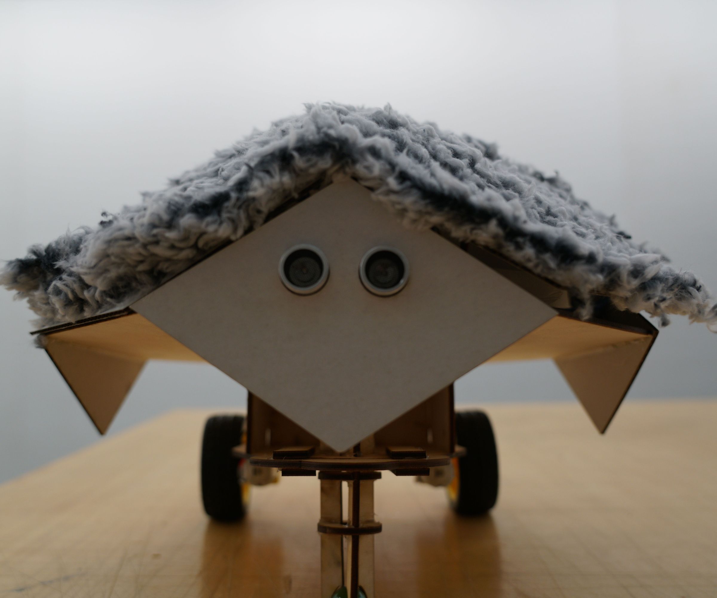 ShWelcome Box: the Sometimes Friend