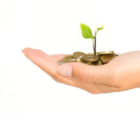 A Step by Step Guide to Growing Your Small Business