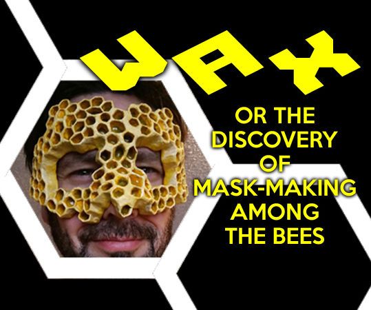 Honeycomb Mask (Paper Mache)
