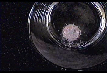 Now for the Bubbly! (and an Explanation)