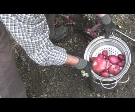 Homemade Potato Washer Peeler