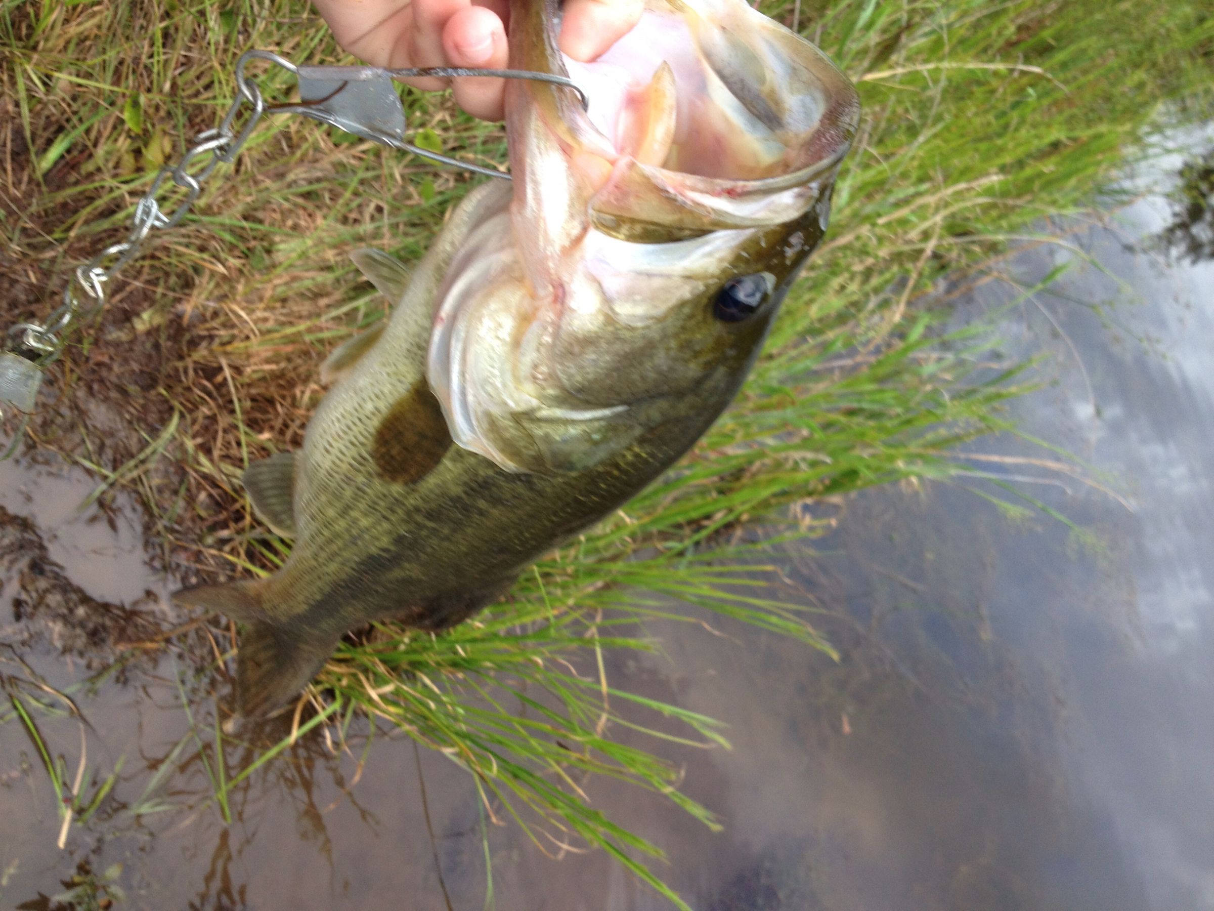 How to Tie the Trilene Fishing Knot