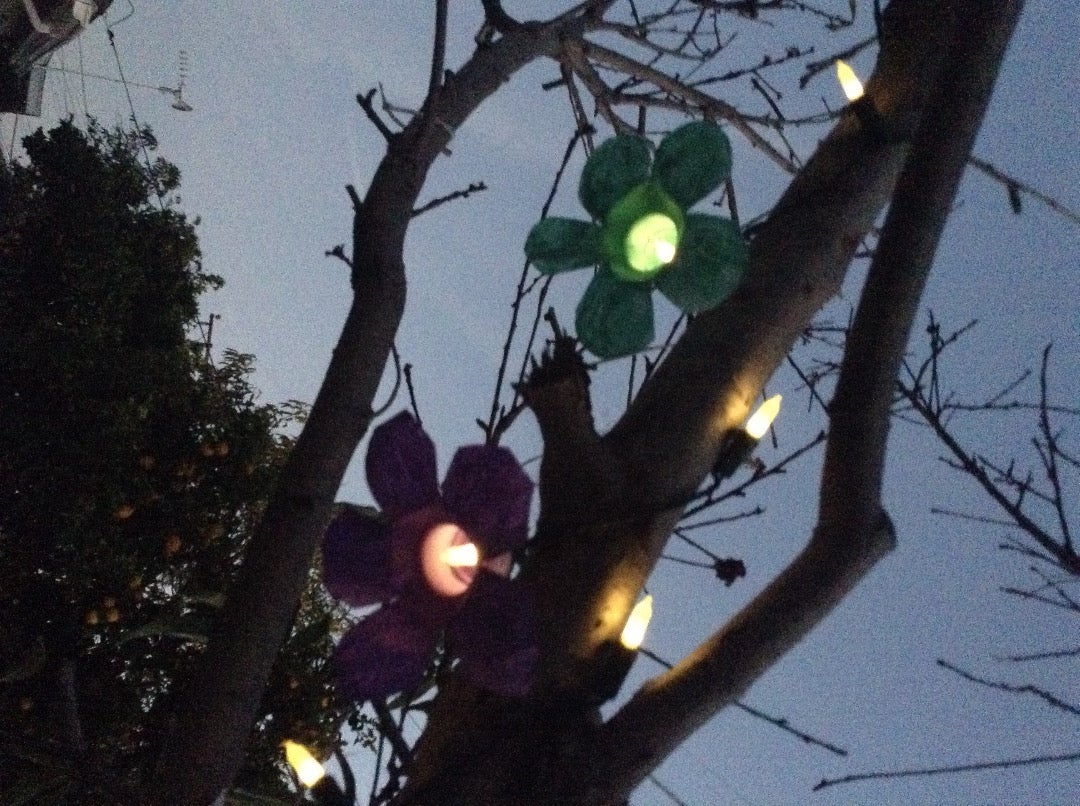 Plastic Bottle Flowers
