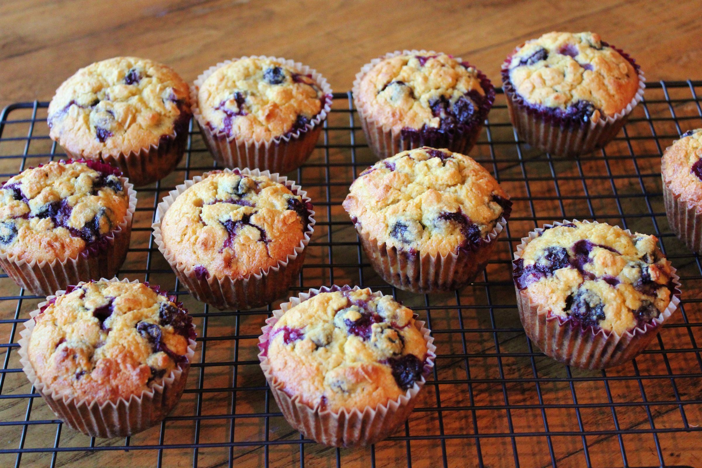 Gluten Free Blueberry Oatmeal Muffins