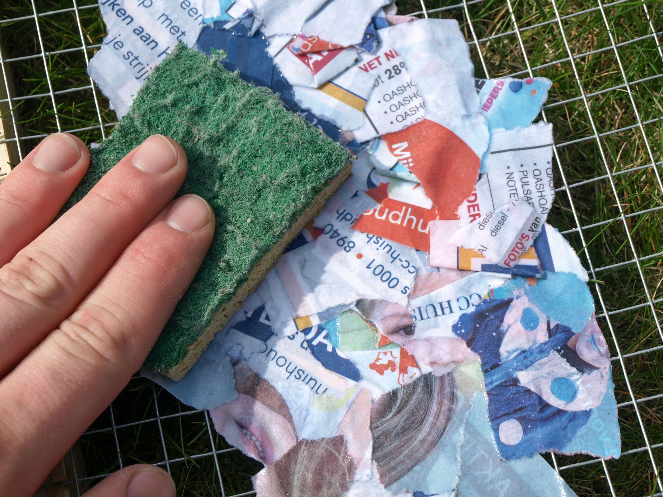 Seed Cards : 7 Steps (with Pictures) - Instructables