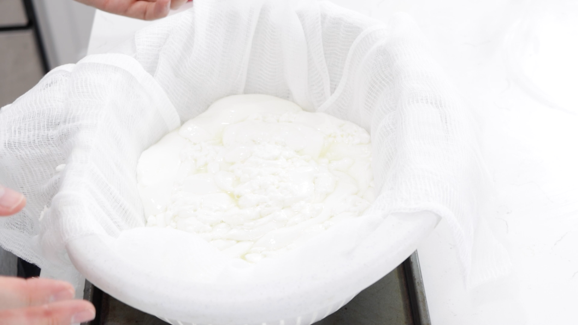 Homemade Mozzarella Cheese From Milk Powder 12 Steps (with Pictures) Instructables