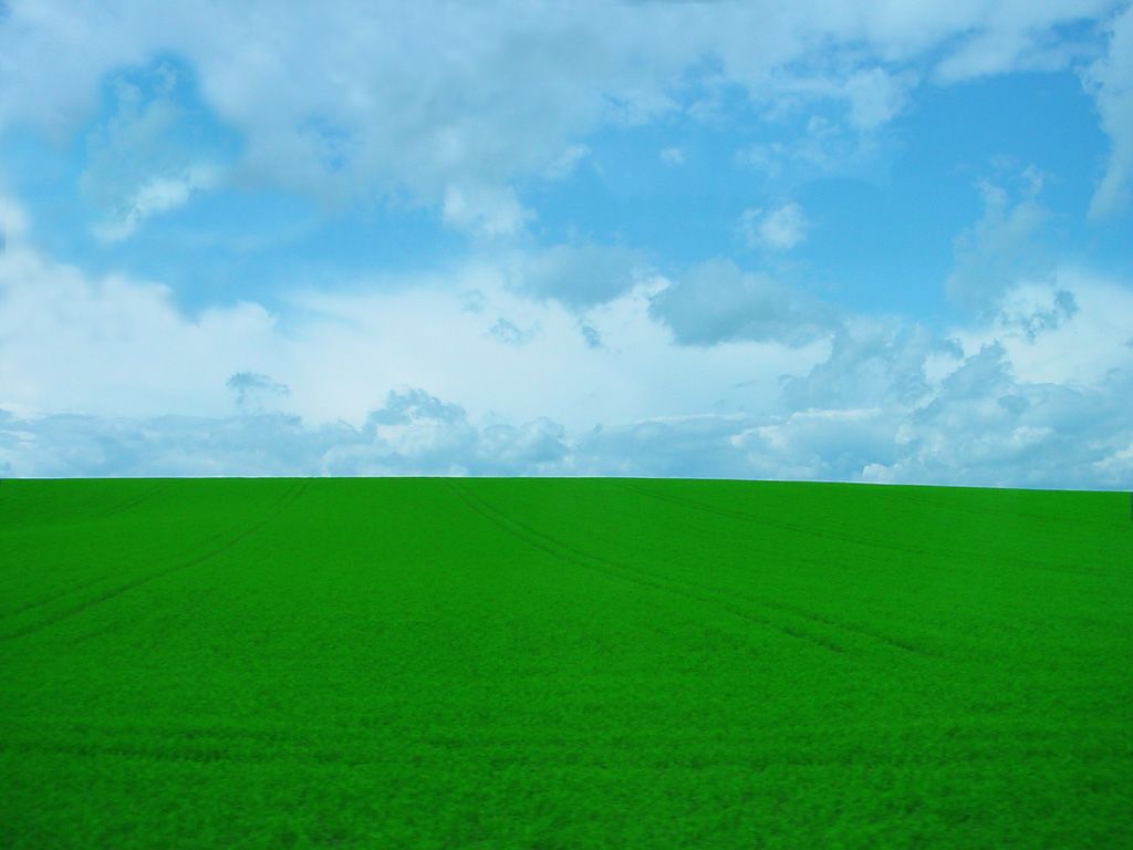 FullyInvolvedScientist