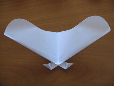 Video of CanardWing's Long Distance Flight...