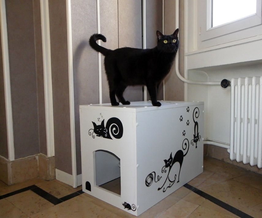 Kitty Litter Box