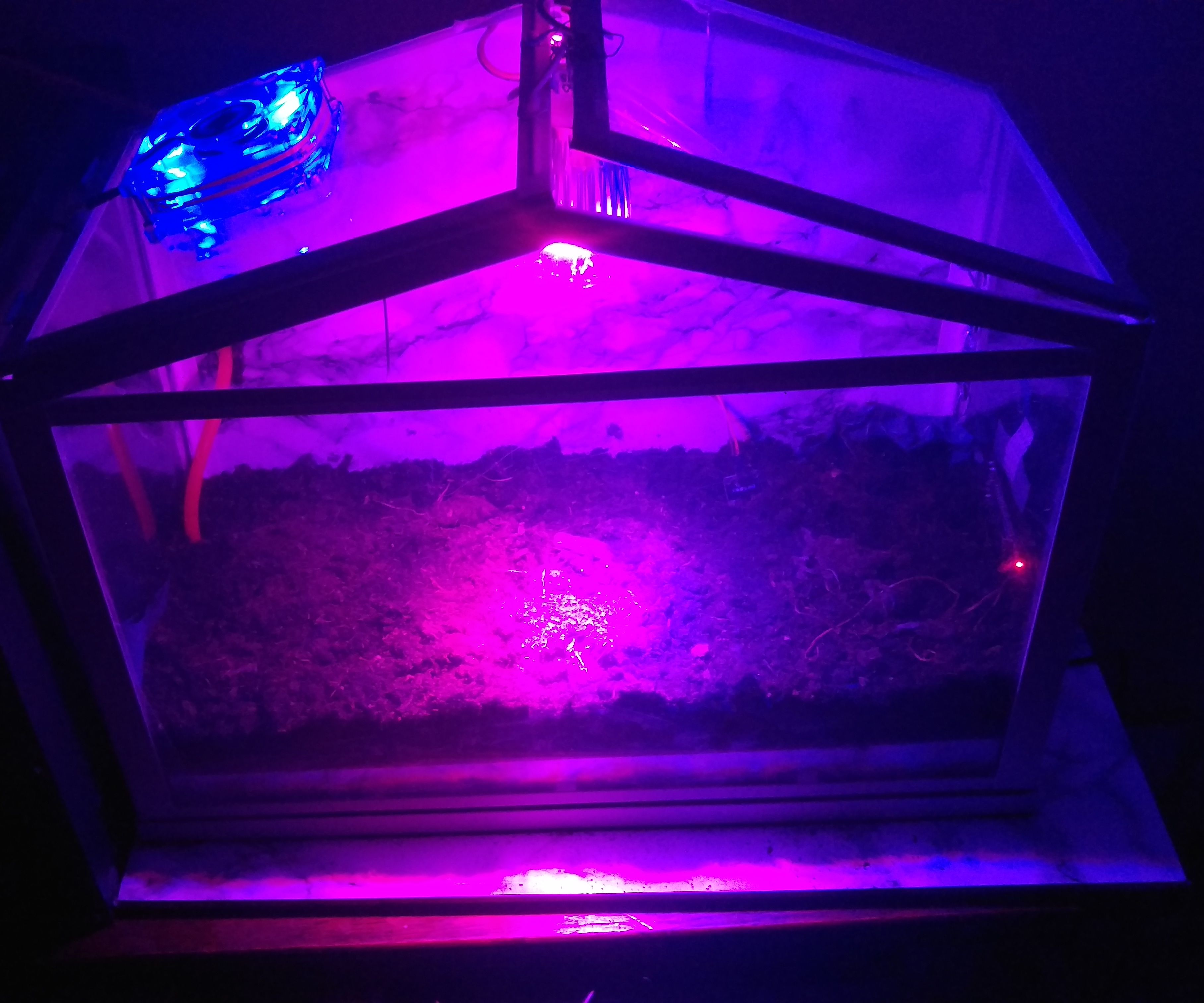 IOT Farm + Timelapse Cayenne Arduino/Raspberry