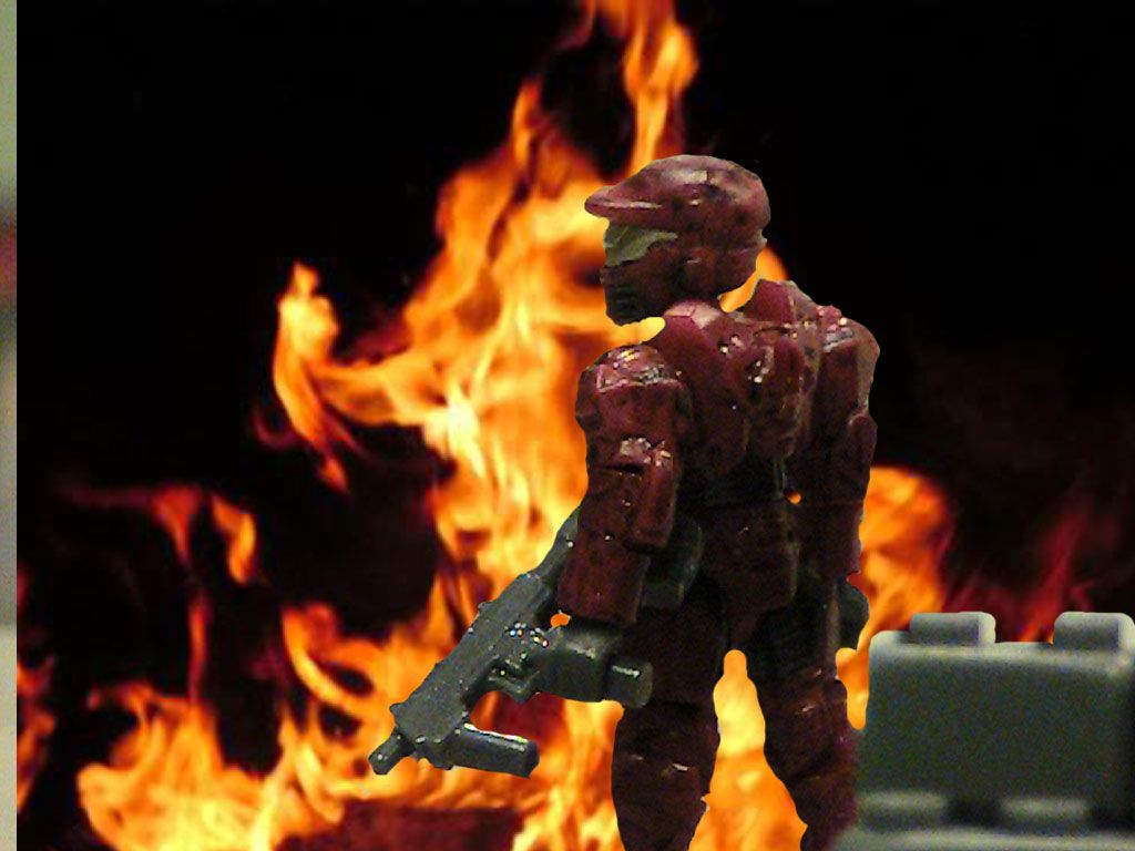 Halo Happenings: Arbiter