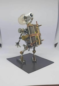 The Capabilities of Our Lampbot Robot