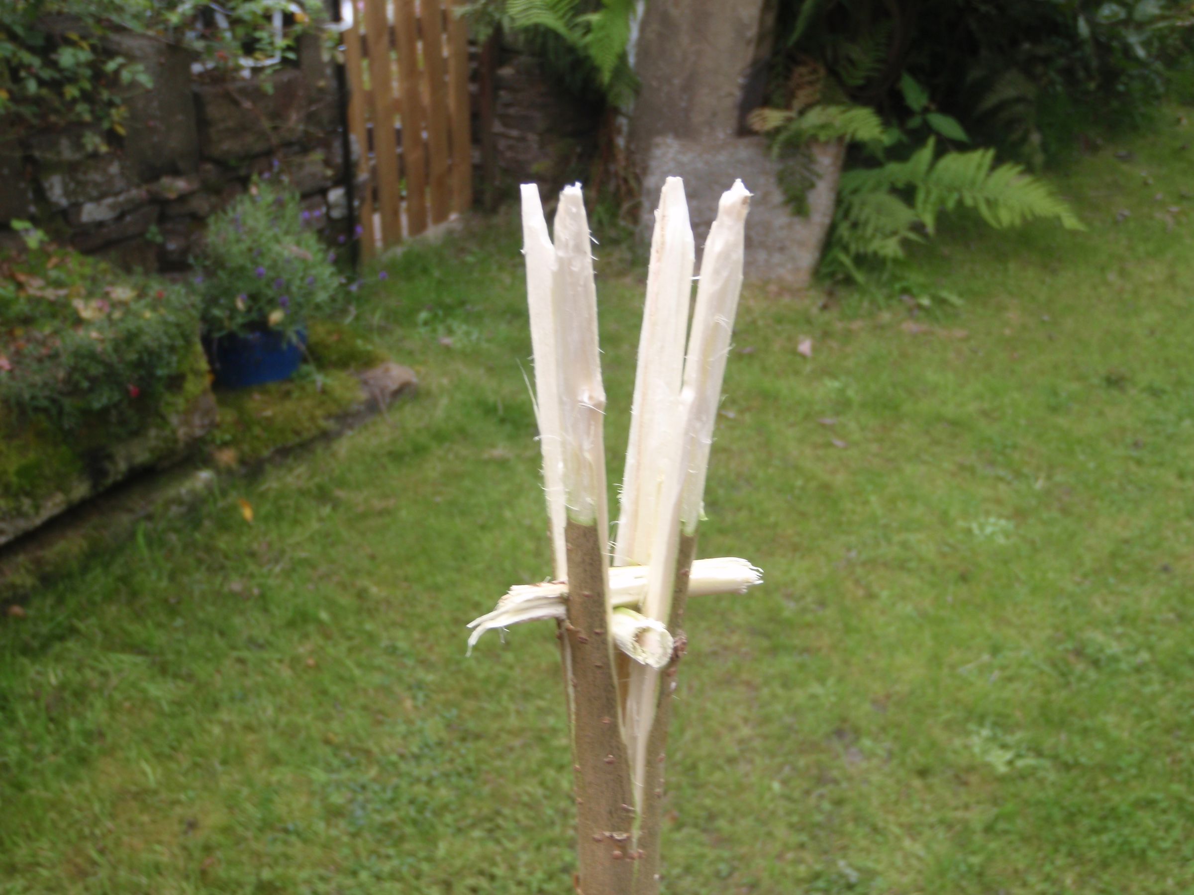 Campfire Toasting Fork 5 Steps (with Pictures) Instructables