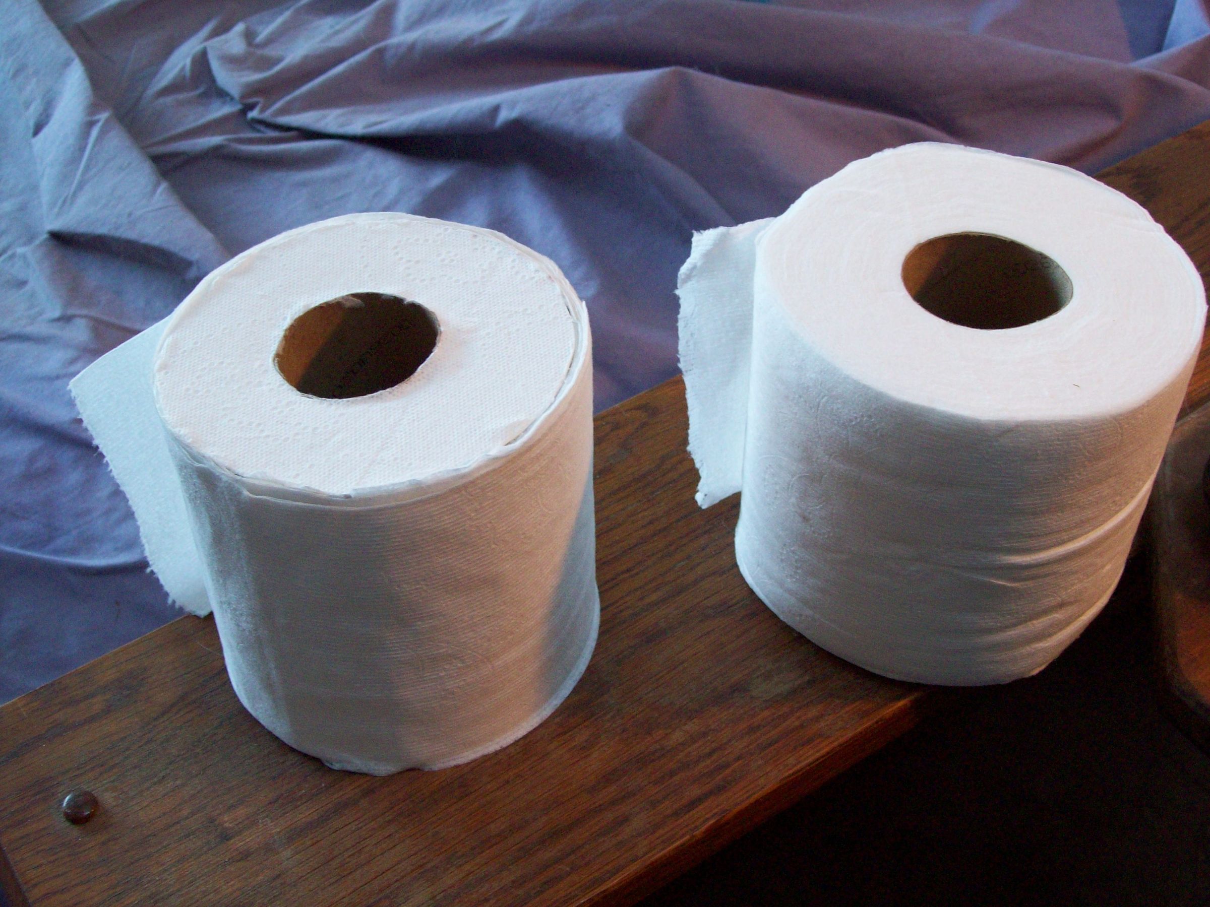 Fake Toilet Paper Roll 5 Steps (with Pictures) Instructables