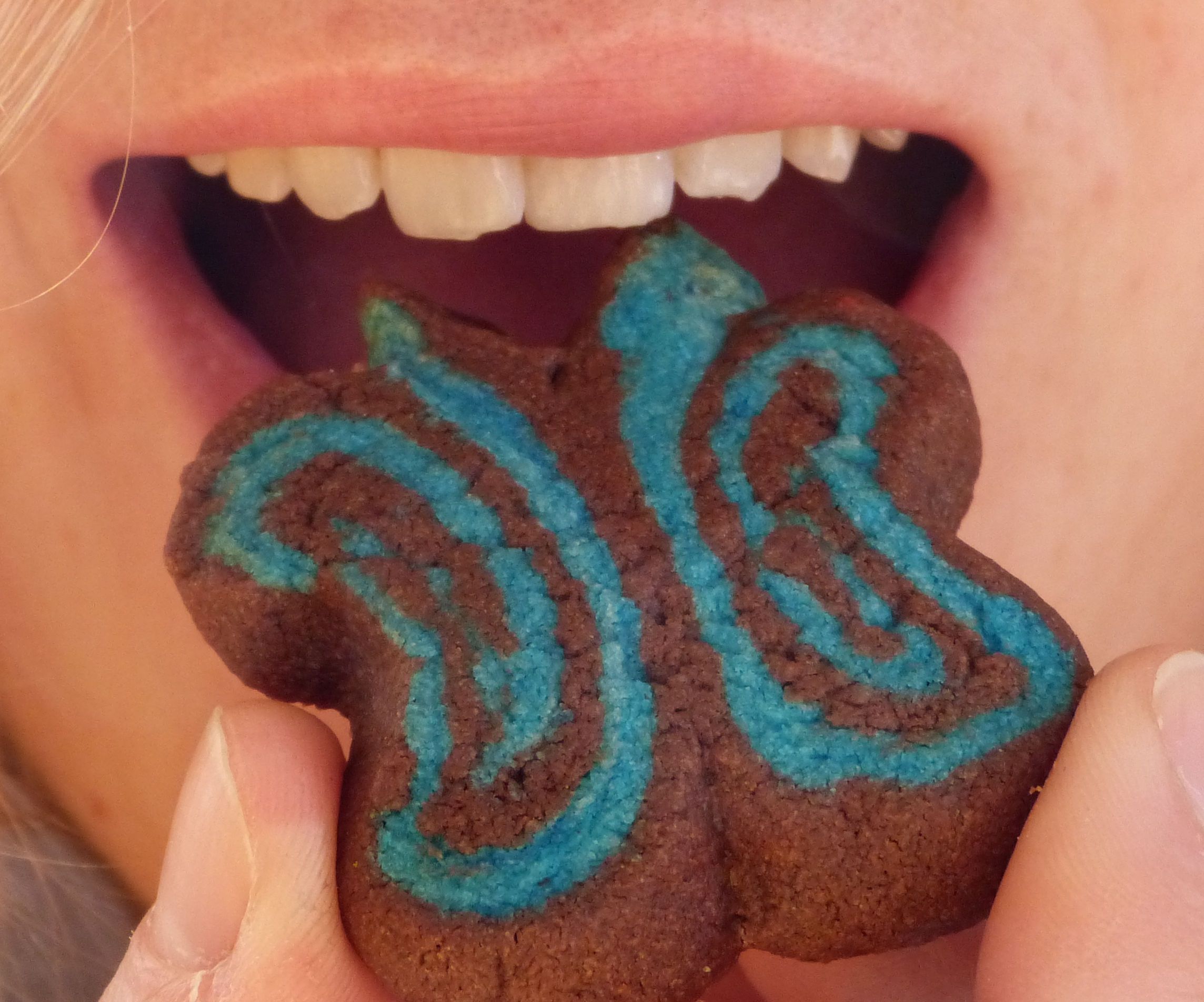 Easy Butterfly Cookies - Nom Nom Nom