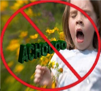 High-Powered Allergen Filter - CHEAP!