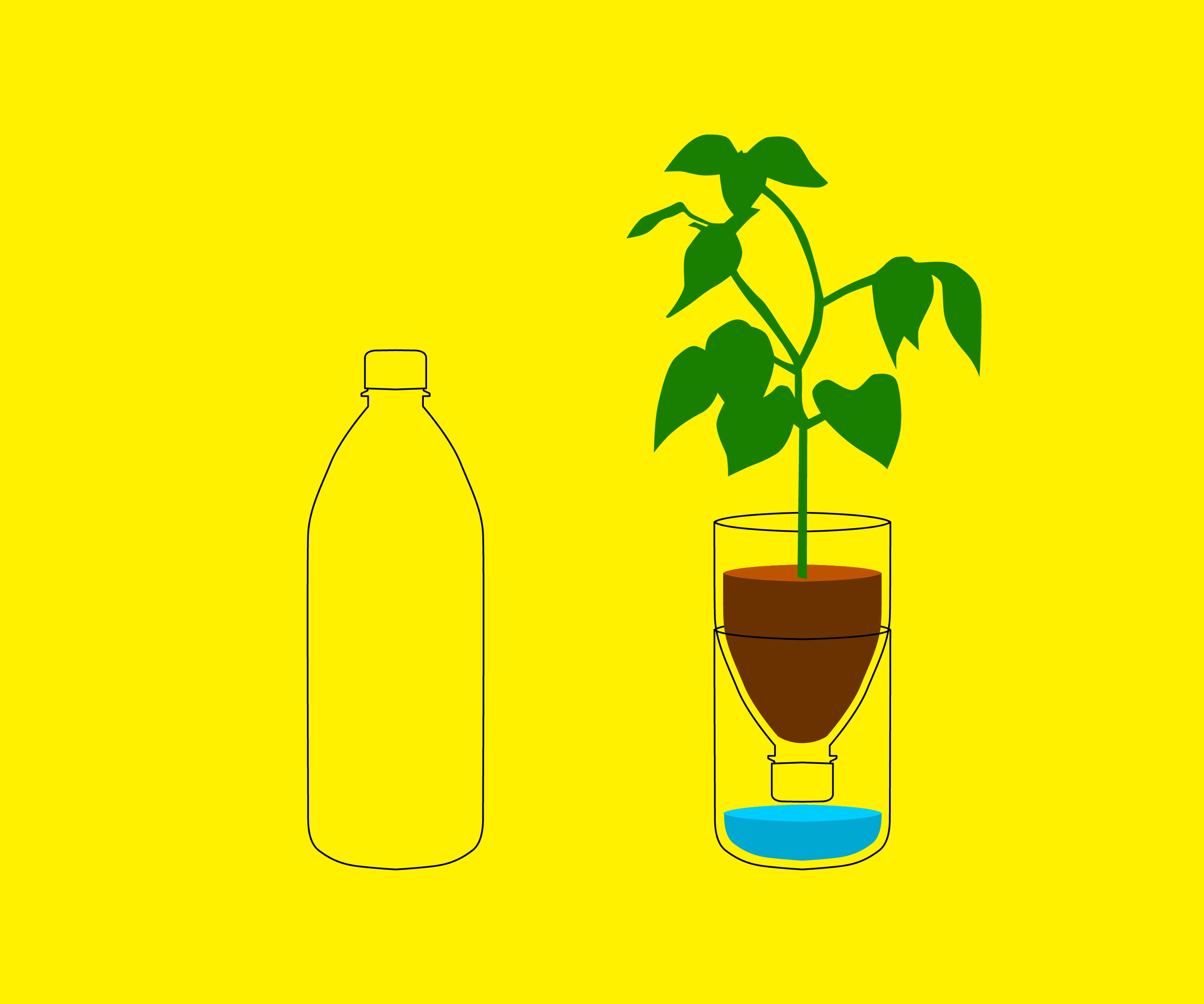 Up-Cycle Plastic Bottle to Planter