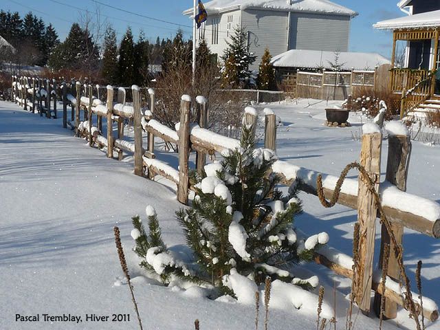 Split Rail Fence - How to Install Rustic Garden Fence