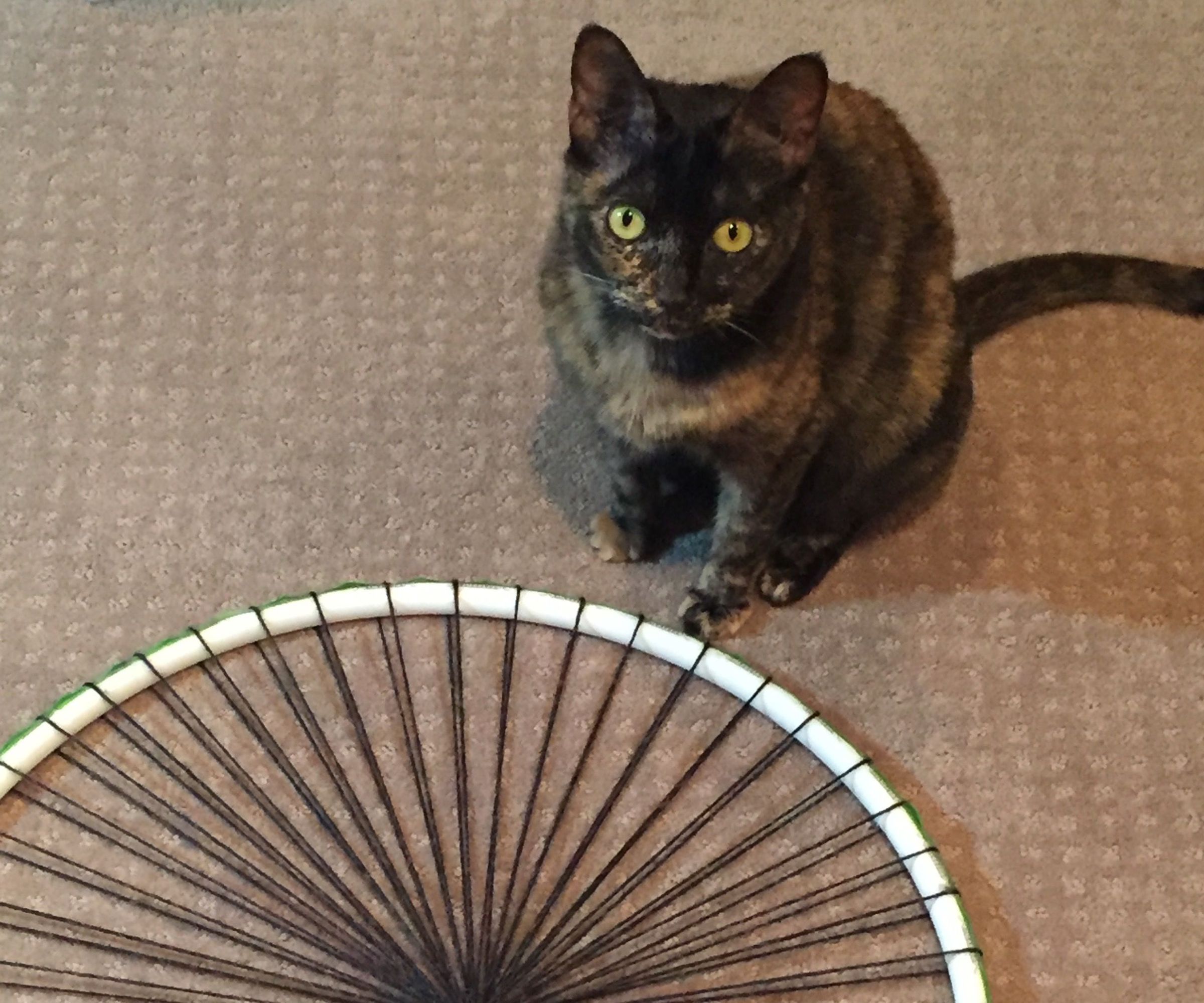 How to Make a Circular Loom From PVC Pipe