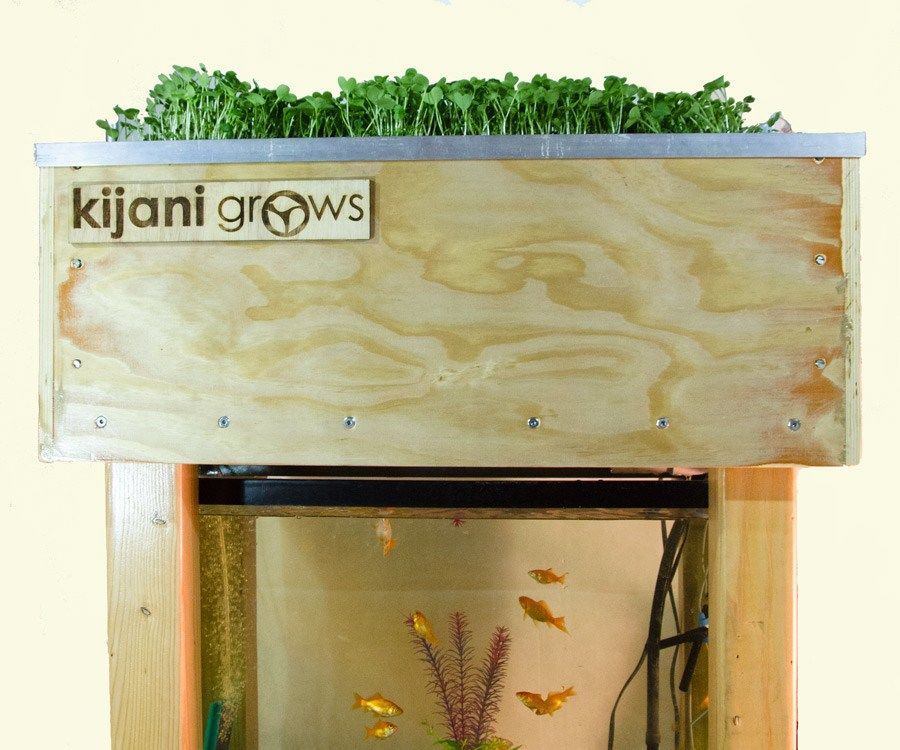 V2 Controller - Smart Aquaponics