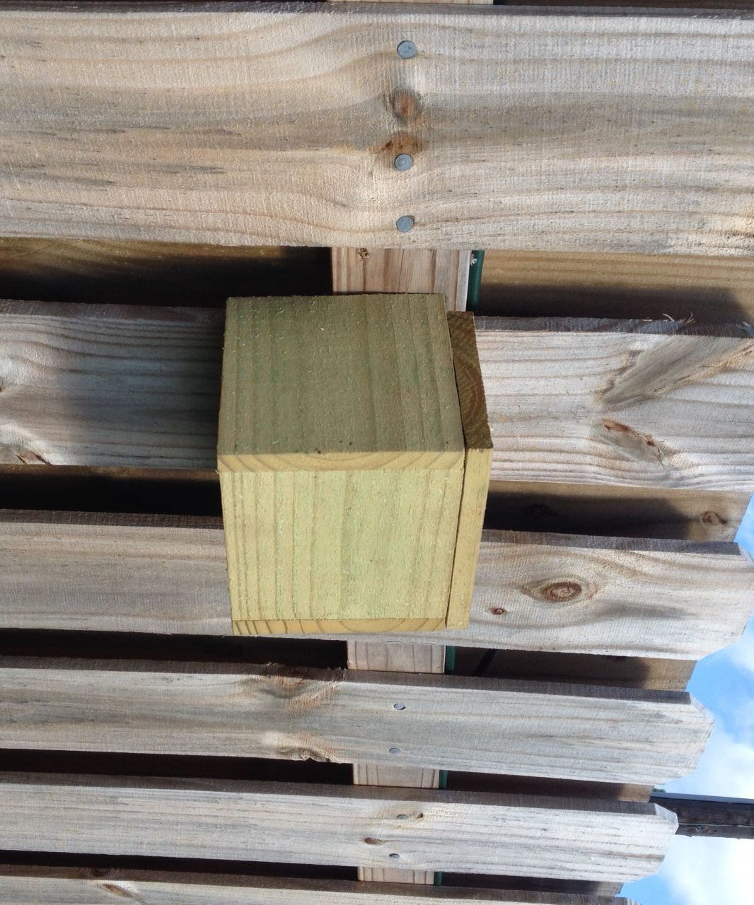 Backyard Fence Light