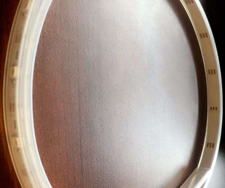 Neopixel (wearable) Belt