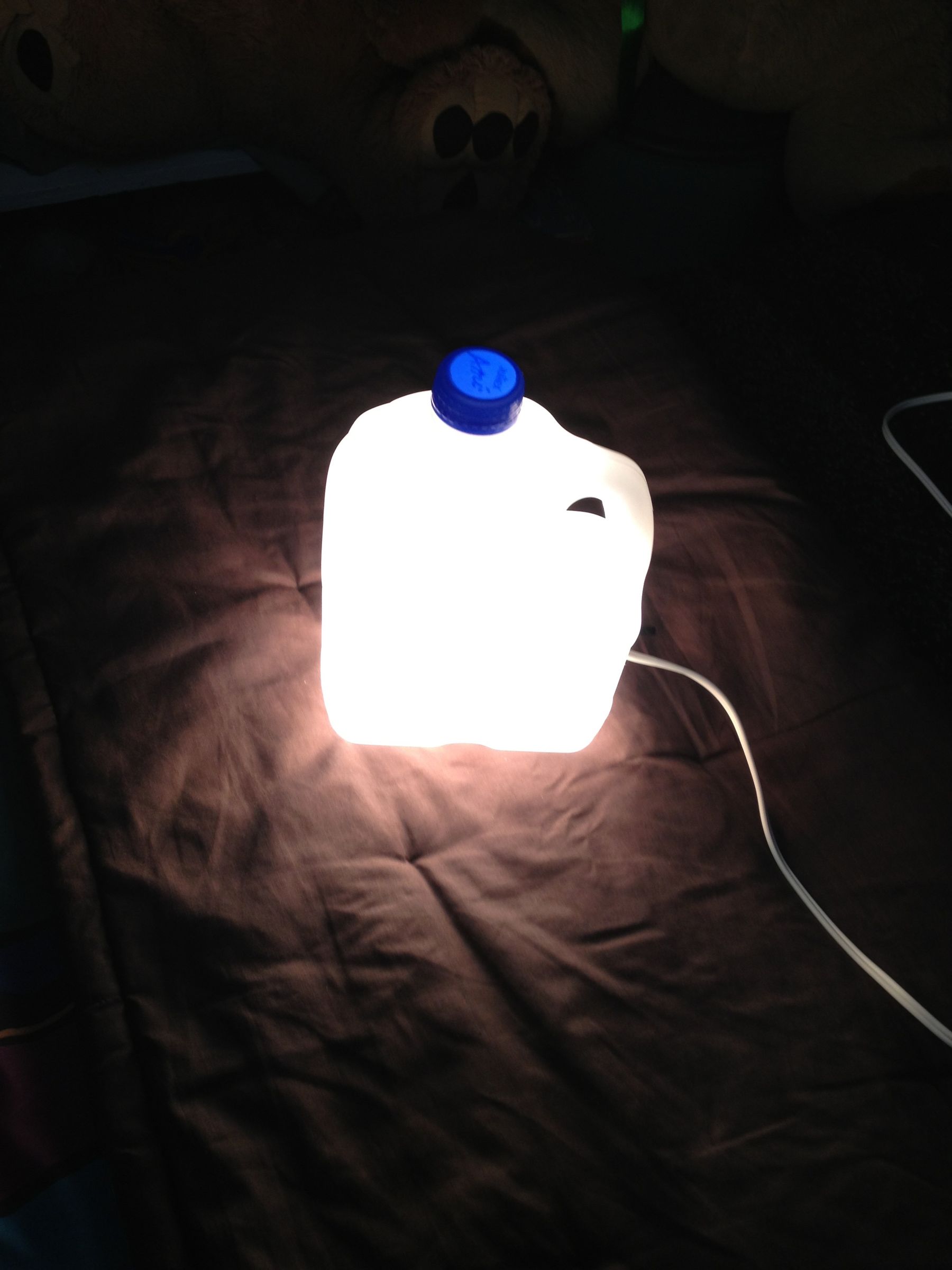 Botella Lámpara / Lamp Bottle