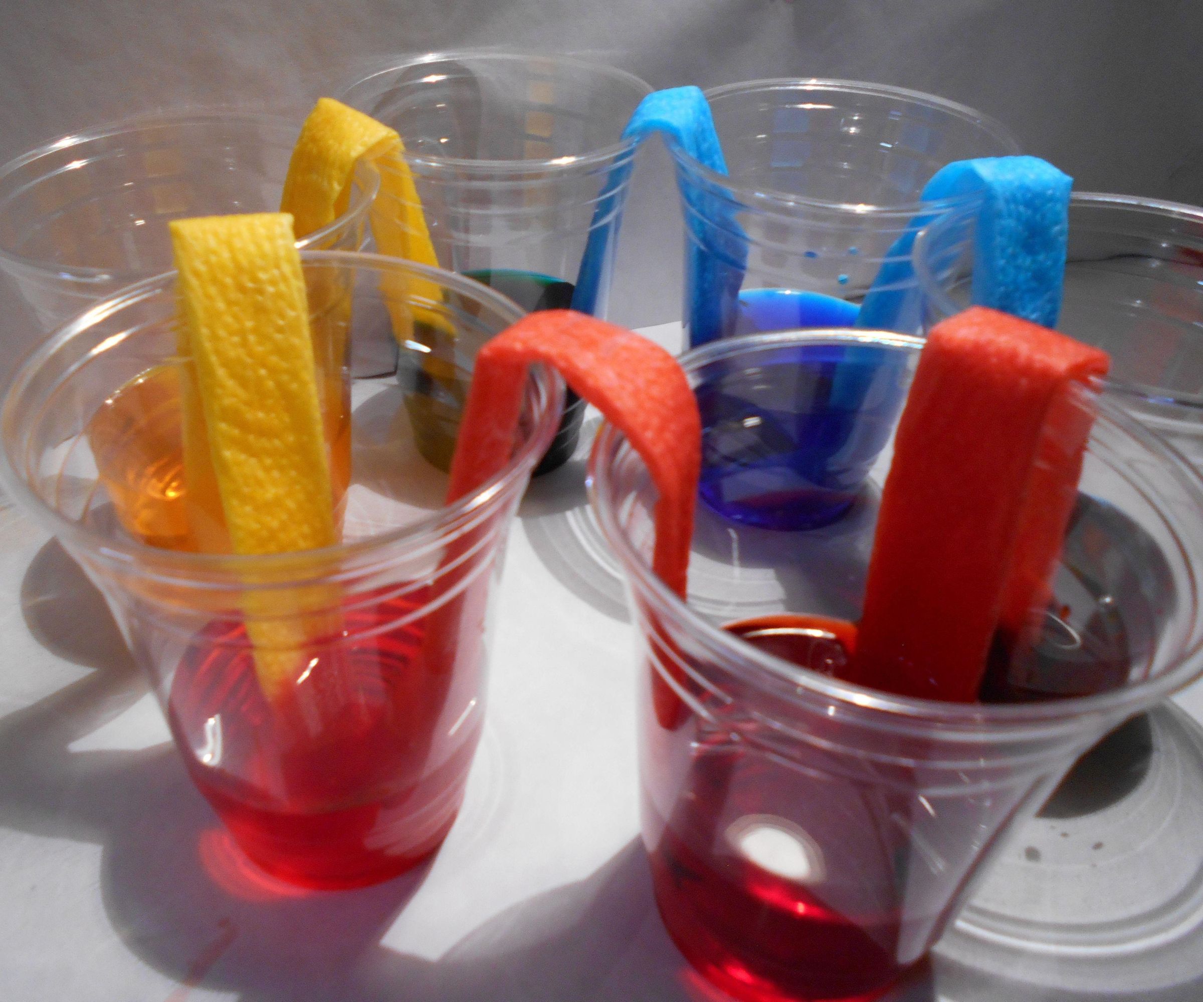 Easy Magical Walking Rainbow Experiment