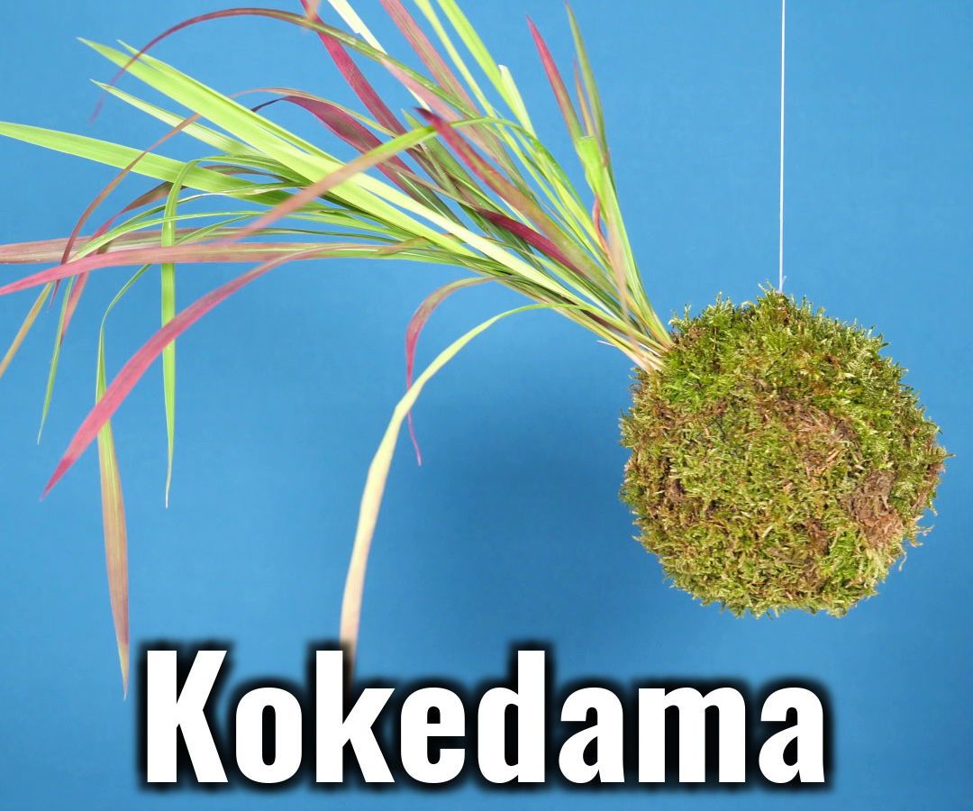 Kokedama String Garden
