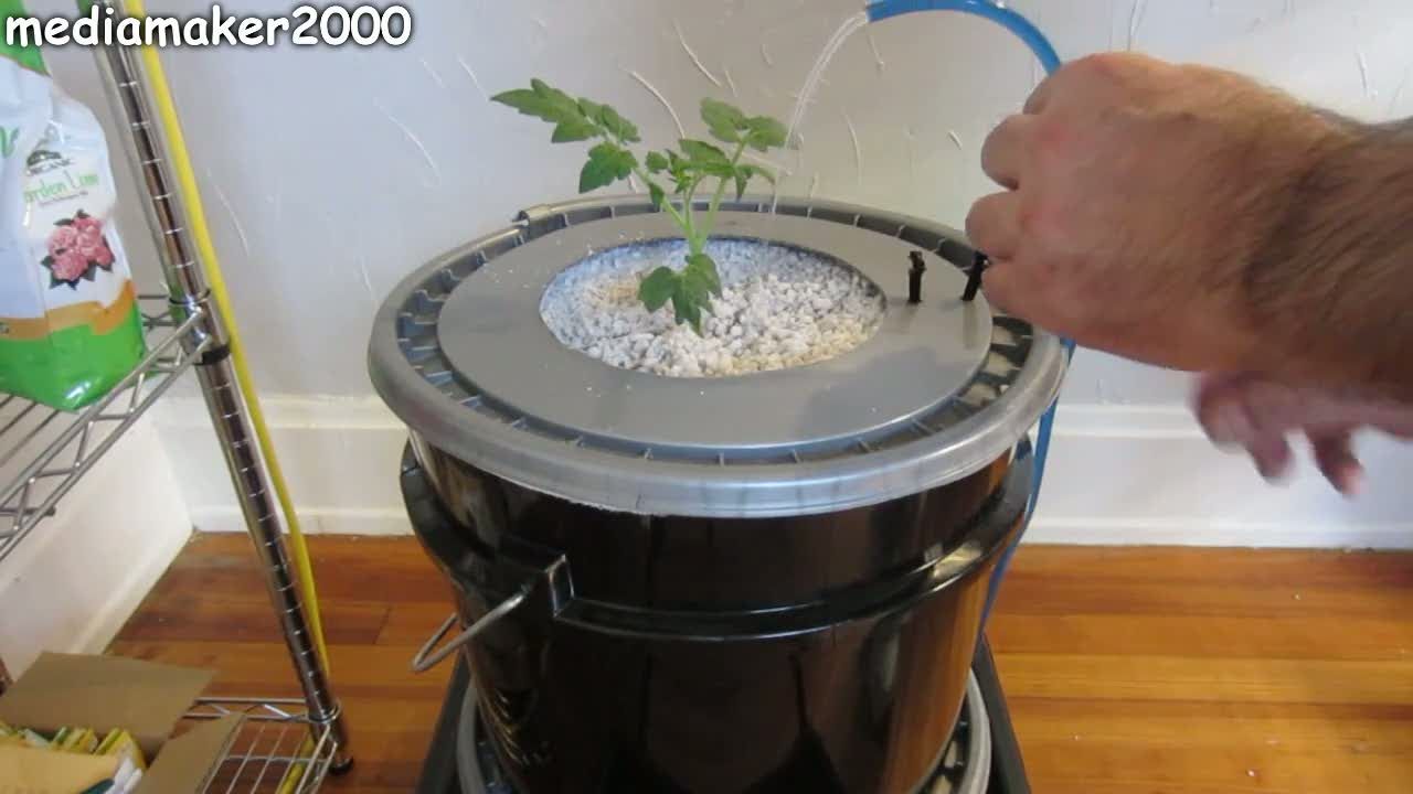 Single Dutch Bucket Hydroponic System - Easy DIY - Patio - Balcony - Winter Gardening