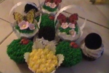 How to make Decorative Cupcakes