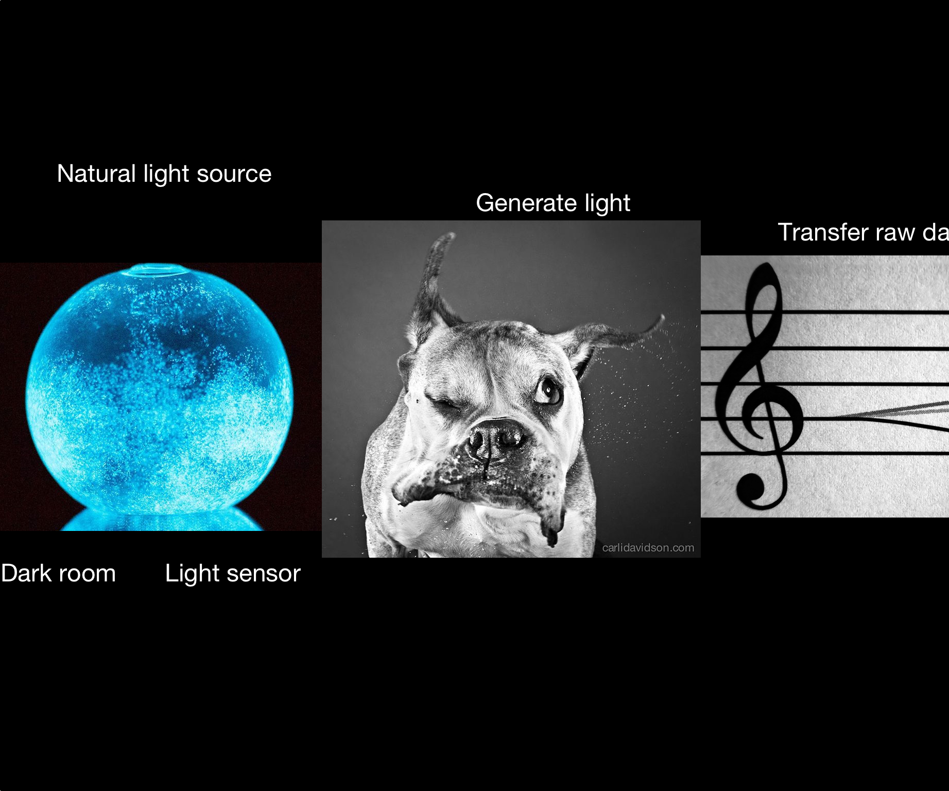 Shake Well: a Musical Aquarium of Glowing Plankton