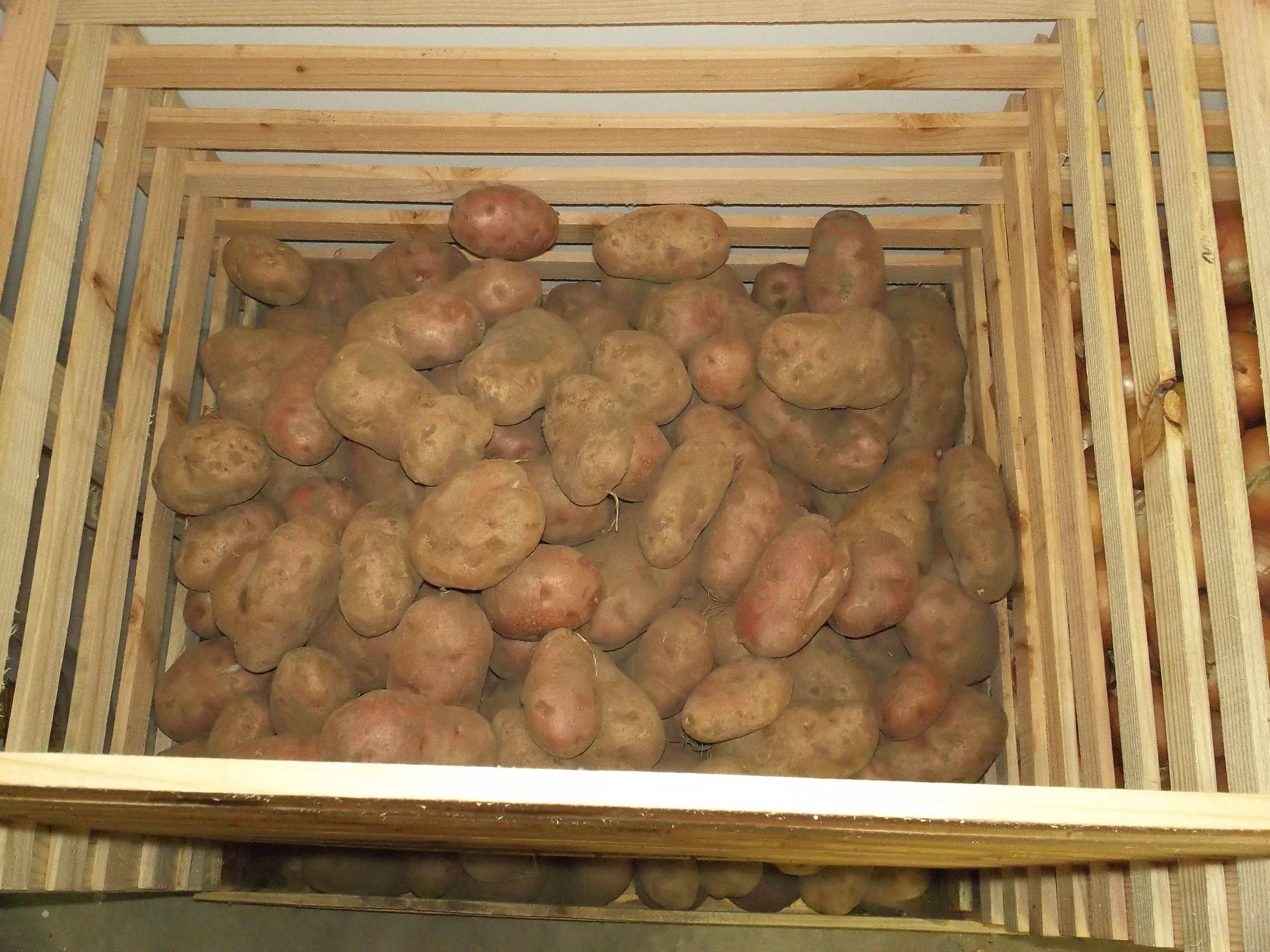 Tater + Onion Dispenser System 6 Steps (with Pictures) Instructables