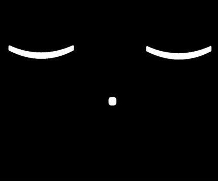 Sleep-Mode ScreenSaver