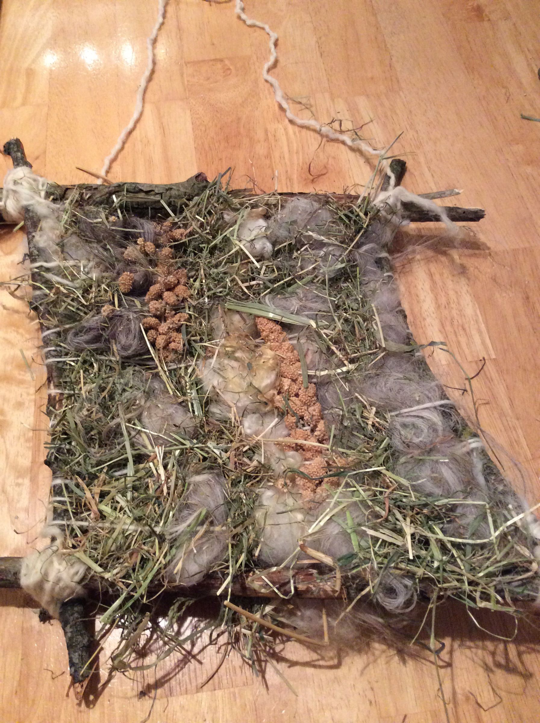 Spring Bird Nesting Helper