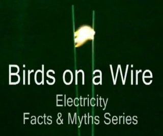 Birds on a Wire - Electricity: Facts & Myths