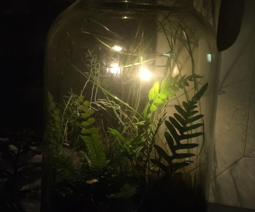 Self Sustainable Living Home Lamp