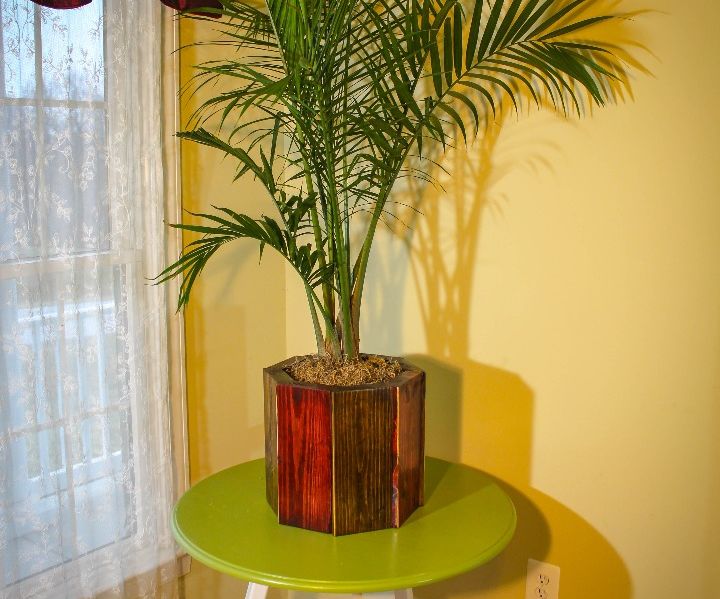 Bird’s Mouth Hollow Spar Planter Made From Pallets