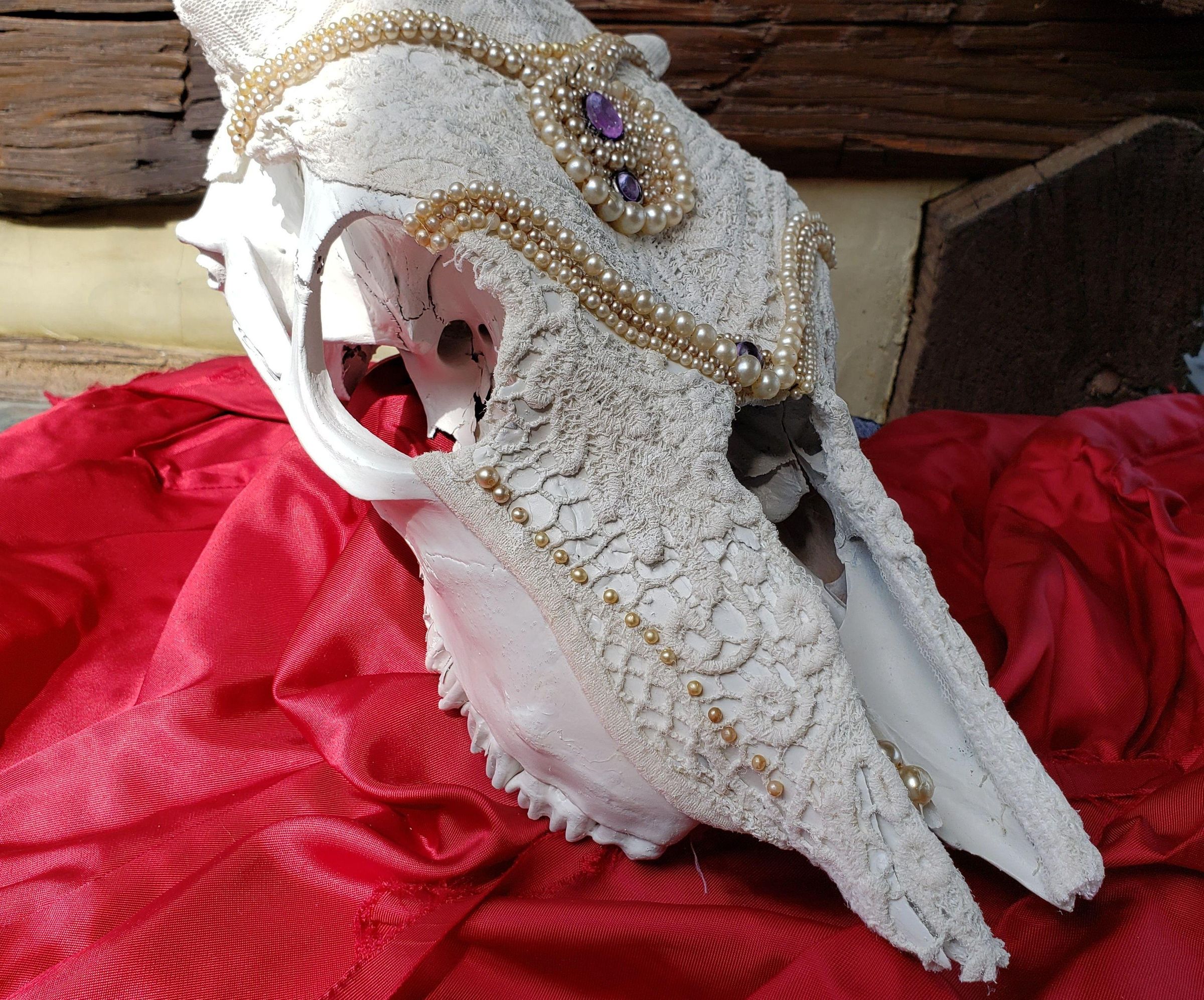 Old Pearl and Lace Calf Skull