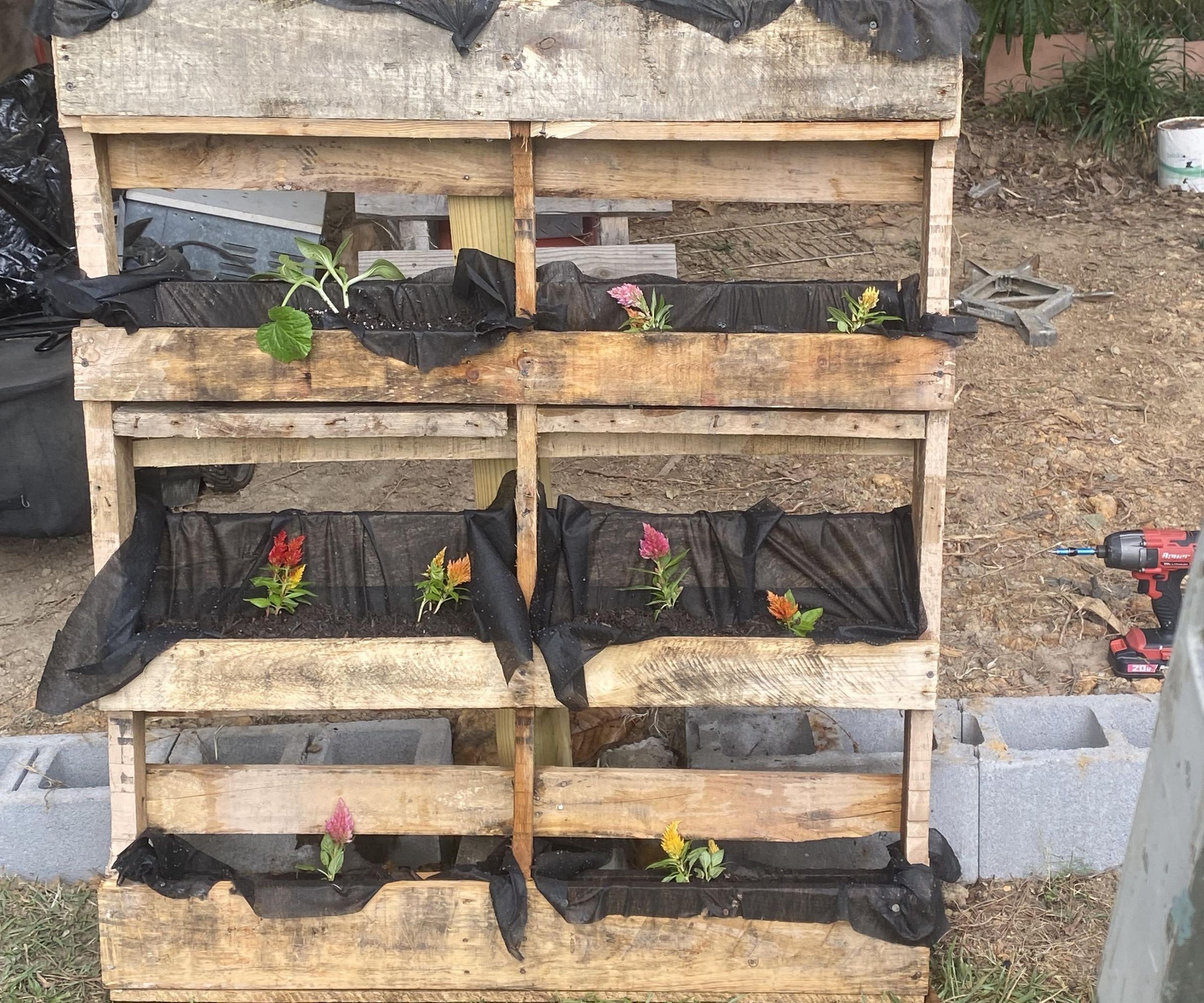 Pallet Planter