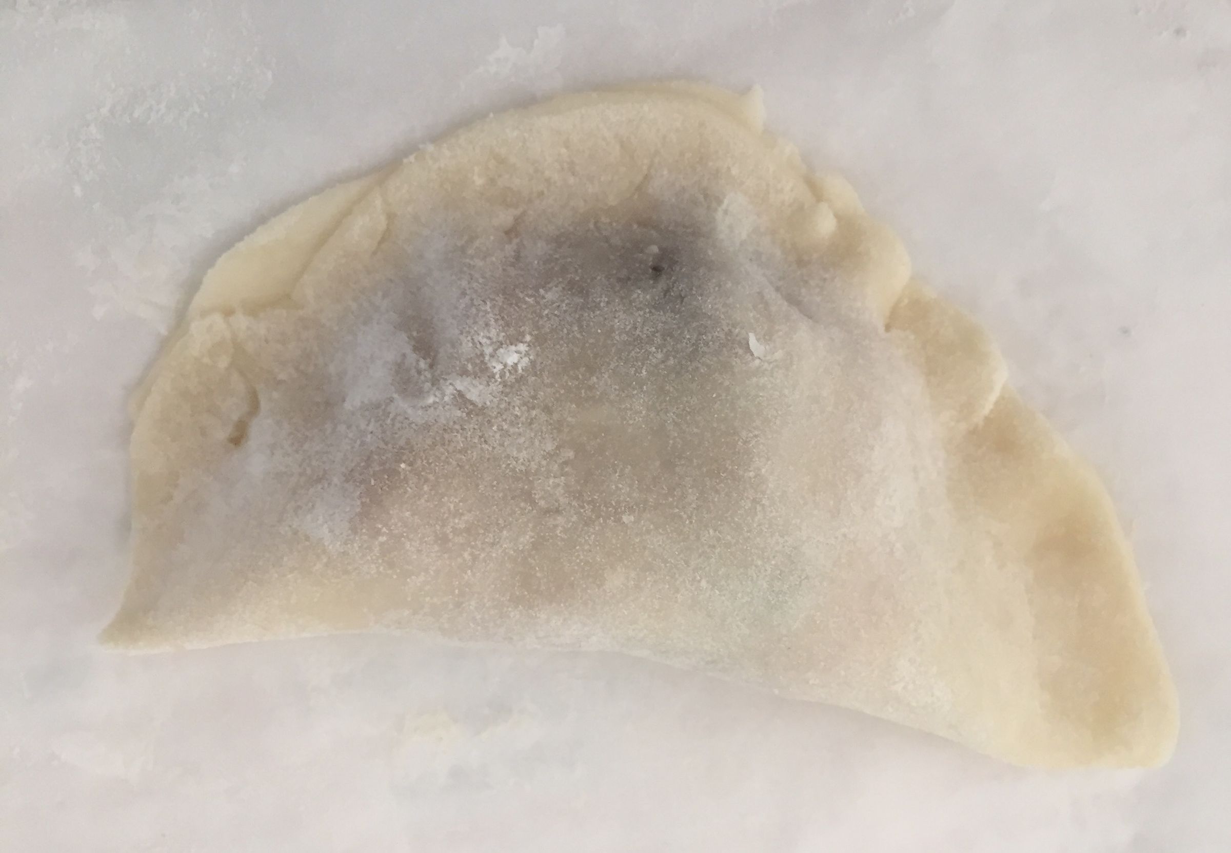 Crispy Pork Dumplings (From Scratch!) 14 Steps (with Pictures
