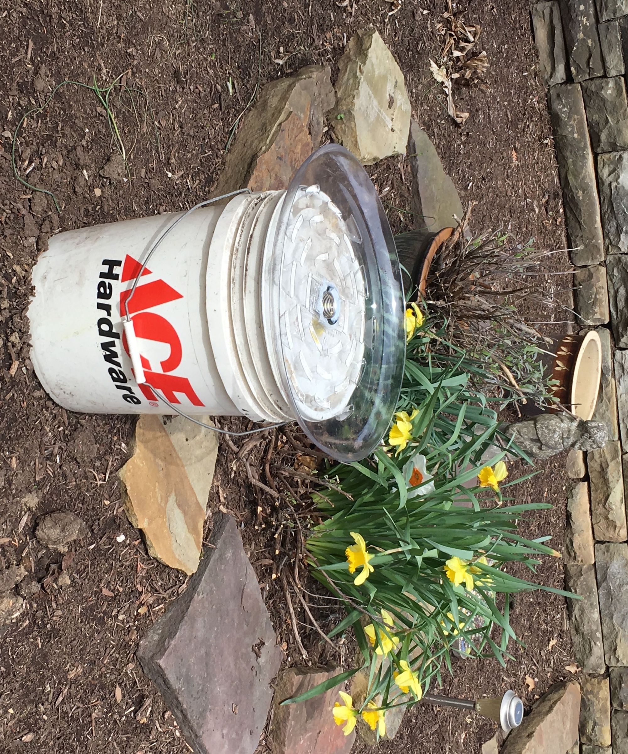 Upcycled Rainwater Collector