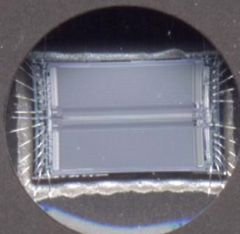 Awesome Macro Photographs (( Make the Perfect Instructable With Easy Always in Focus Macro Pictures )) 