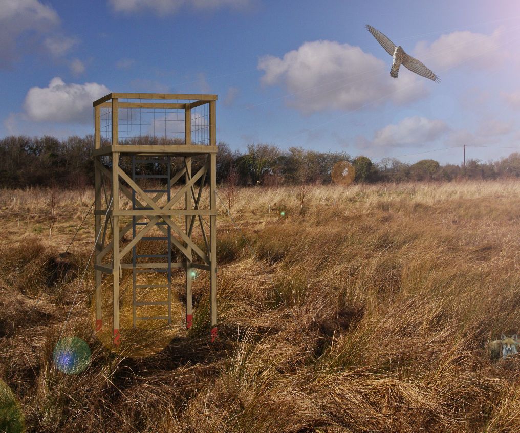 Wildlife Observation Tower