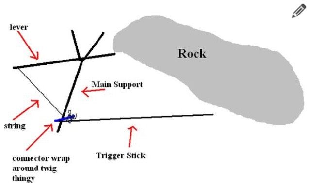 Paiute Deadfall Trap!
