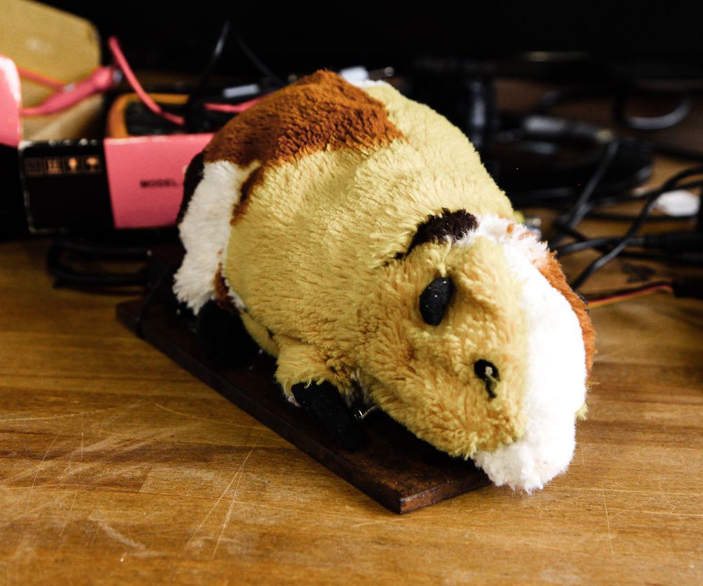 The Social Media Hamster