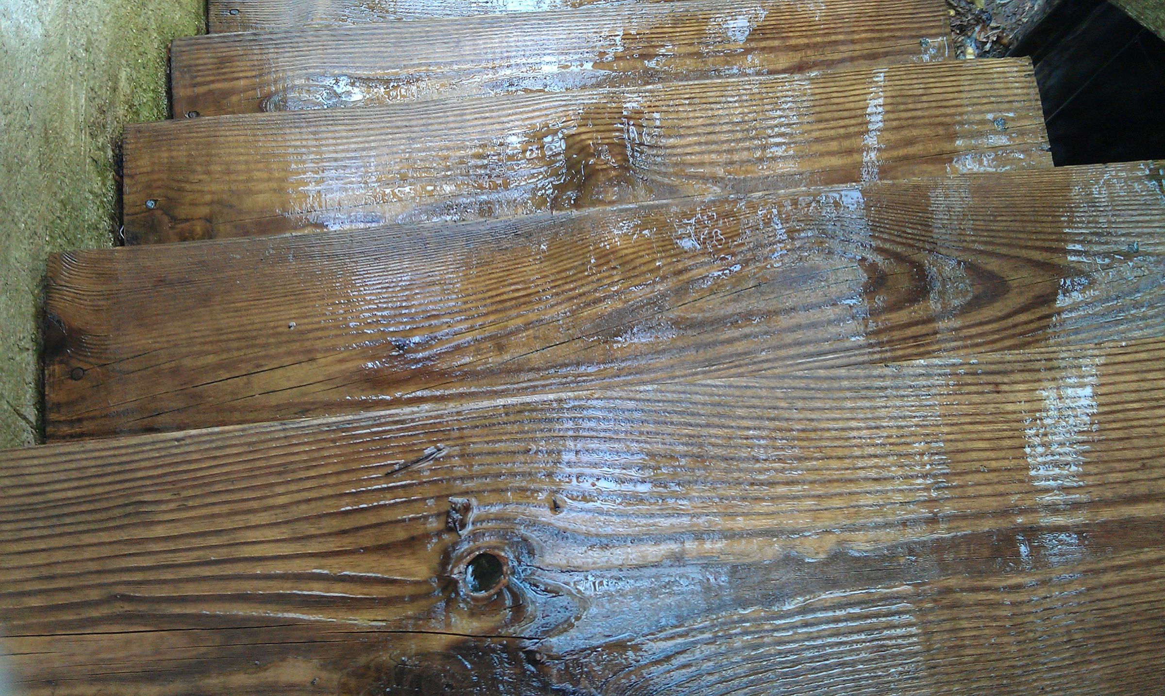 Killing Algae Growing on a Wooden Deck Using Hydrogen Peroxide