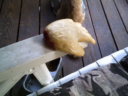 Make a Poseable "Rubber" Hand